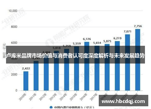 卢库米品牌市场价值与消费者认可度深度解析与未来发展趋势
