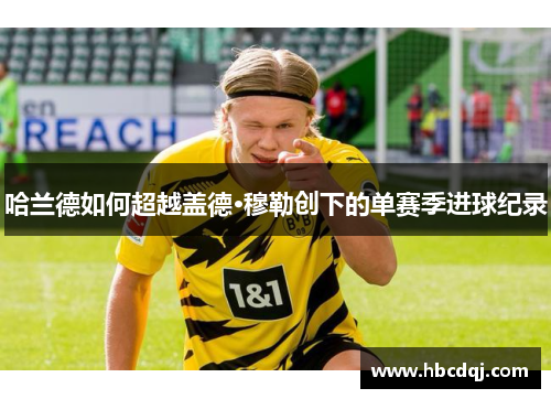 哈兰德如何超越盖德·穆勒创下的单赛季进球纪录