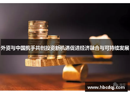 外资与中国携手共创投资新机遇促进经济融合与可持续发展