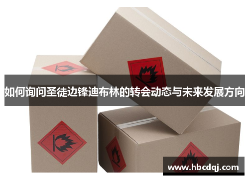 如何询问圣徒边锋迪布林的转会动态与未来发展方向 如何询问圣徒边锋迪布林的转会动态与未来发展方向